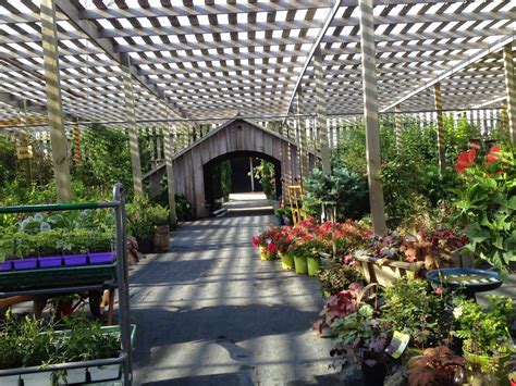 Greenhouses Built for Northern Climates. Customer Focused - Distinguished - Established - Quality Building Materials - Knowledgable Support & Staff (608) 284-7336; ... View some of Wisconsin Greenhouse Company's favorites and find your green house inspiration! Customer Testimonials